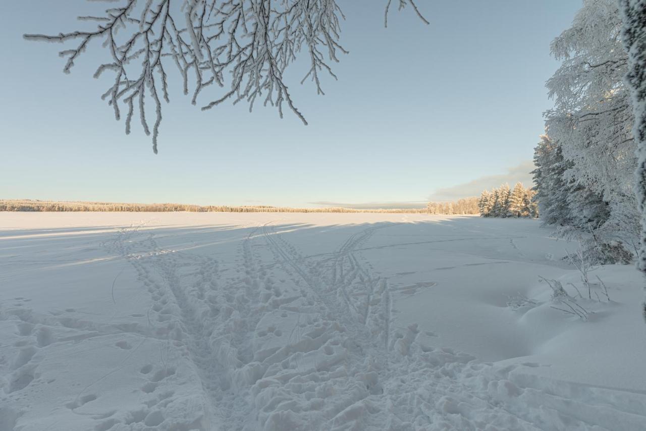 Laehderinne - 2 Bedroom Log Cabin, Private Beach, Wifi & Sauna Puolanka Екстериор снимка